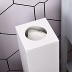 Meuble de rangement de salle de bain blanc mat, 1 porte